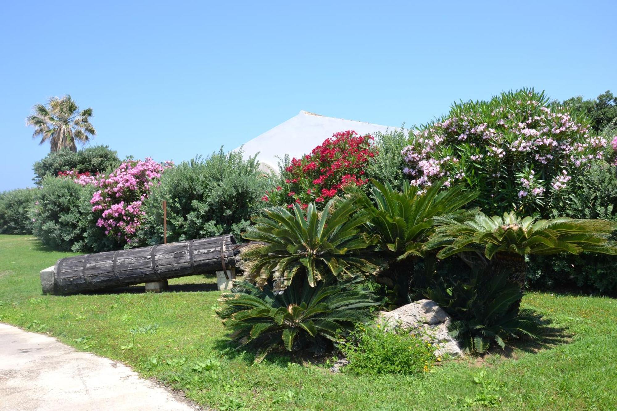 I Mulini Trapani